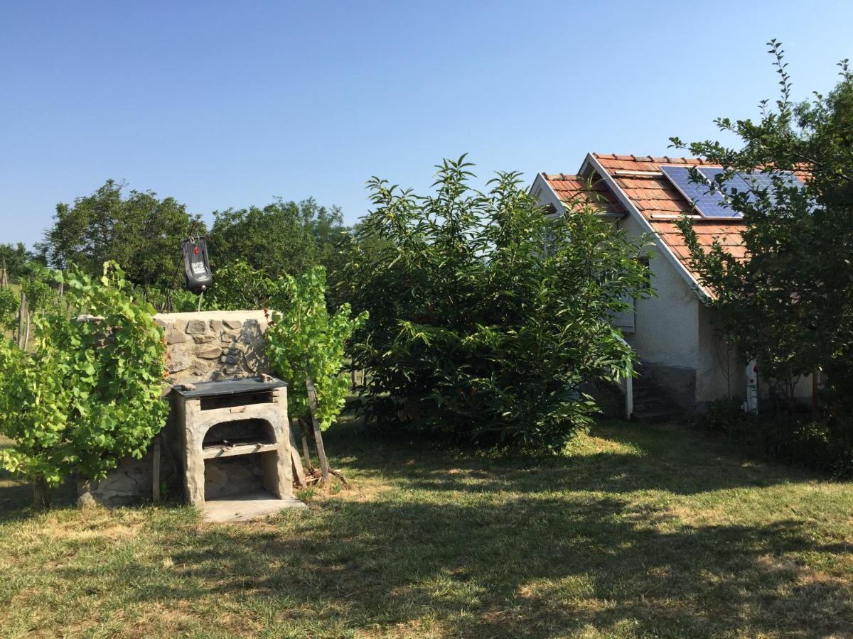 Csobanc Szerelem-Nemzeti Park-Oenallo Haz - Klimatizalt Gyulakeszi Εξωτερικό φωτογραφία