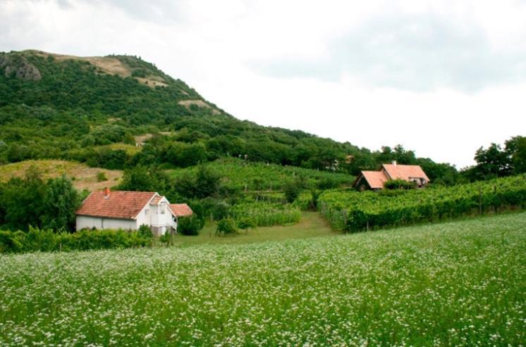 Csobanc Szerelem-Nemzeti Park-Oenallo Haz - Klimatizalt Gyulakeszi Εξωτερικό φωτογραφία